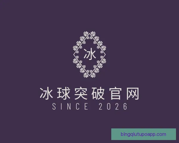 发现冰球突破官网